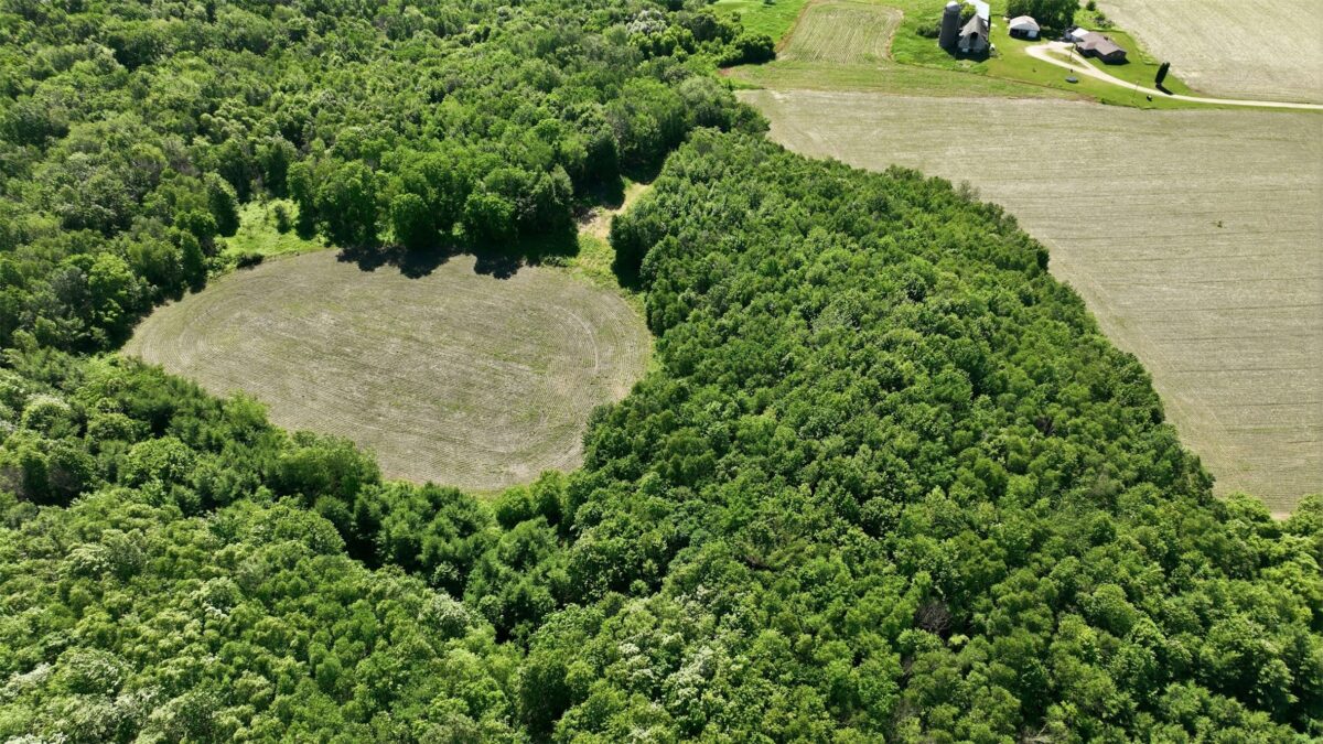 20 acres 150th Ave., Colfax WI 54730 - Land house for sale - MLS #1602151 - image10