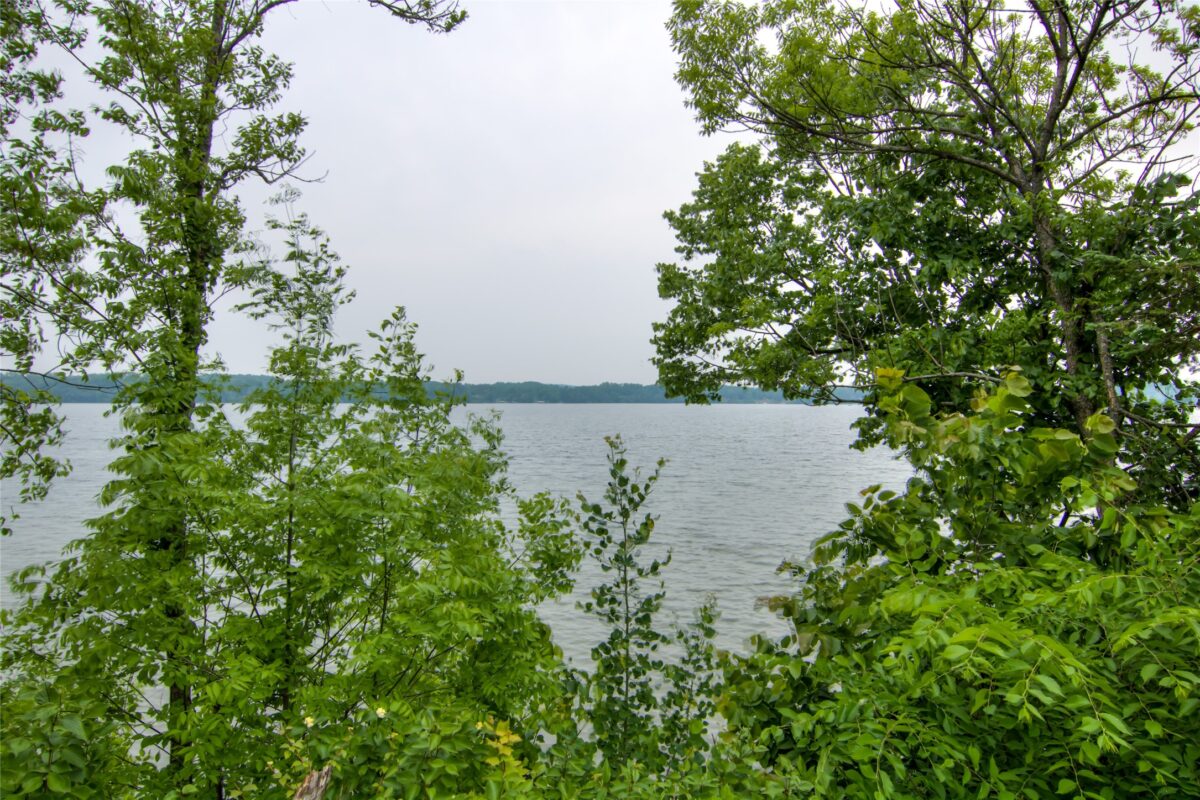 2045 Ol' Hays Road, Birchwood WI 54817 - Residential house for sale - MLS #1601494 - image10