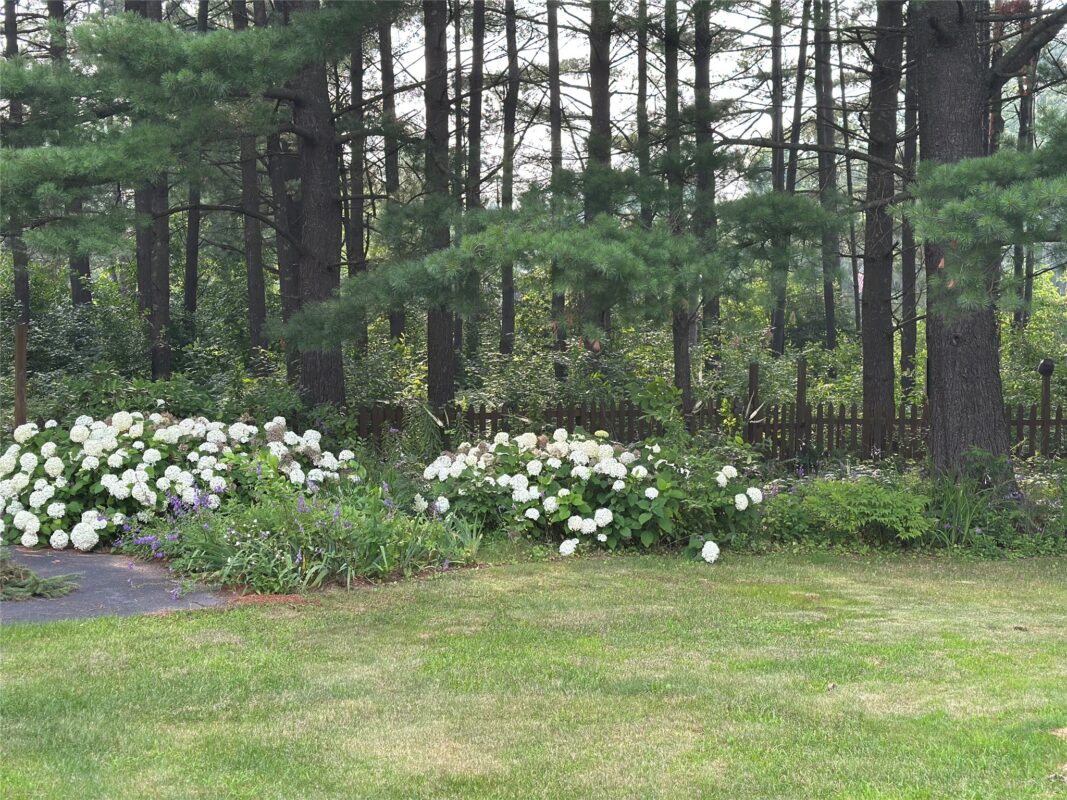 2124 12 1/4 Avenue, Cameron WI 54822 - Residential house for sale - MLS #1600203 - image33
