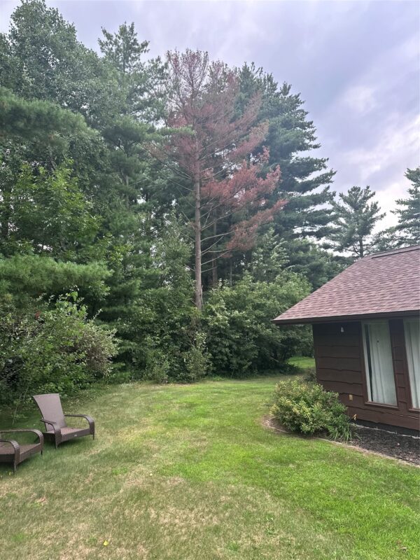 2124 12 1/4 Avenue, Cameron WI 54822 - Residential house for sale - MLS #1600203 - image38