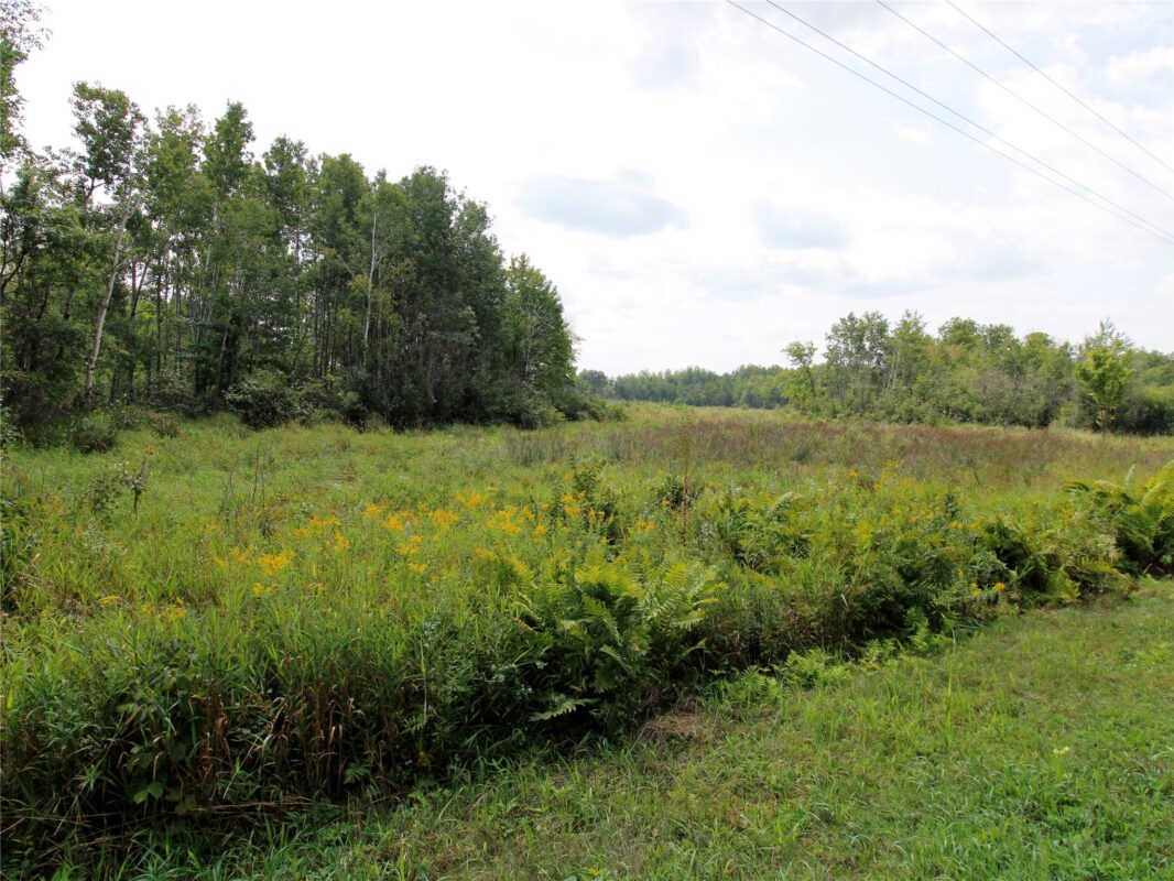 2208 State Road 70, Spooner WI 54801 - Land house for sale - MLS #1601903 - image5
