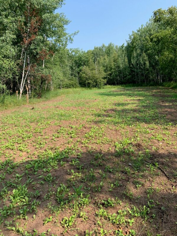 2208 State Road 70, Spooner WI 54801 - Land house for sale - MLS #1601903 - image8
