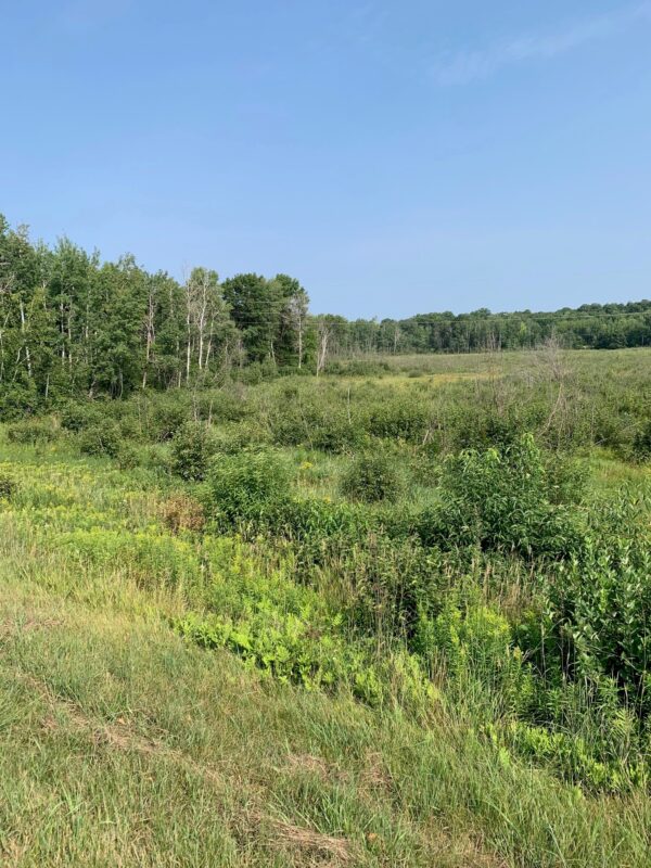 2208 State Road 70, Spooner WI 54801 - Land house for sale - MLS #1601903 - image9