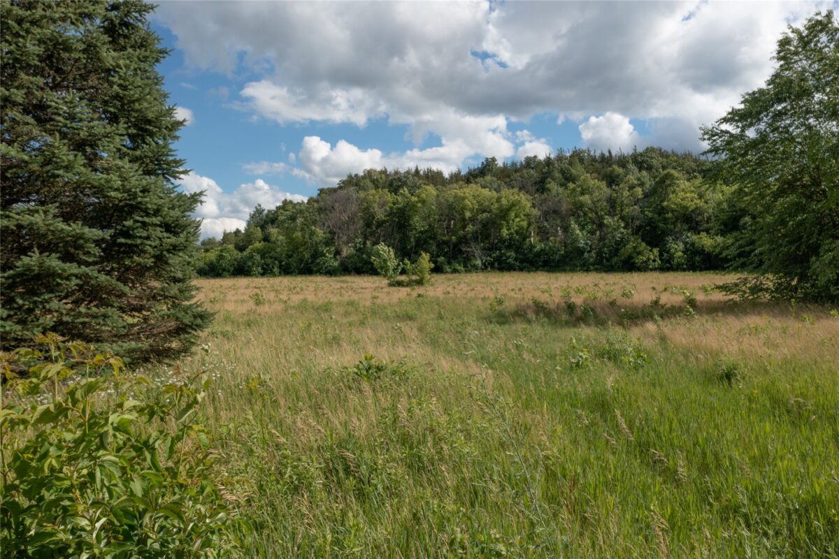 242 County Road Ss, River Falls WI 54022 - Land house for sale - MLS #1602565 - image6