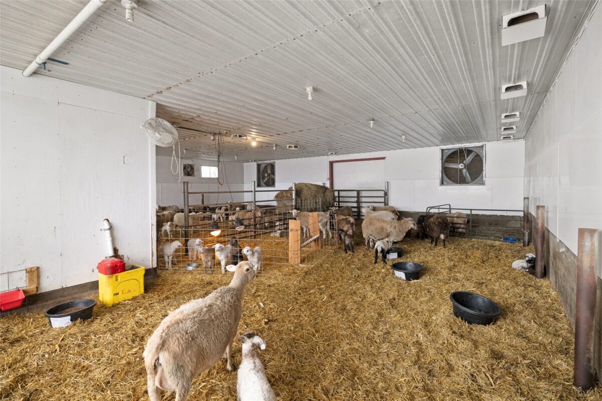 2435 50th Avenue, Elk Mound WI 54739 - Farm house for sale - MLS #1601900 - image35