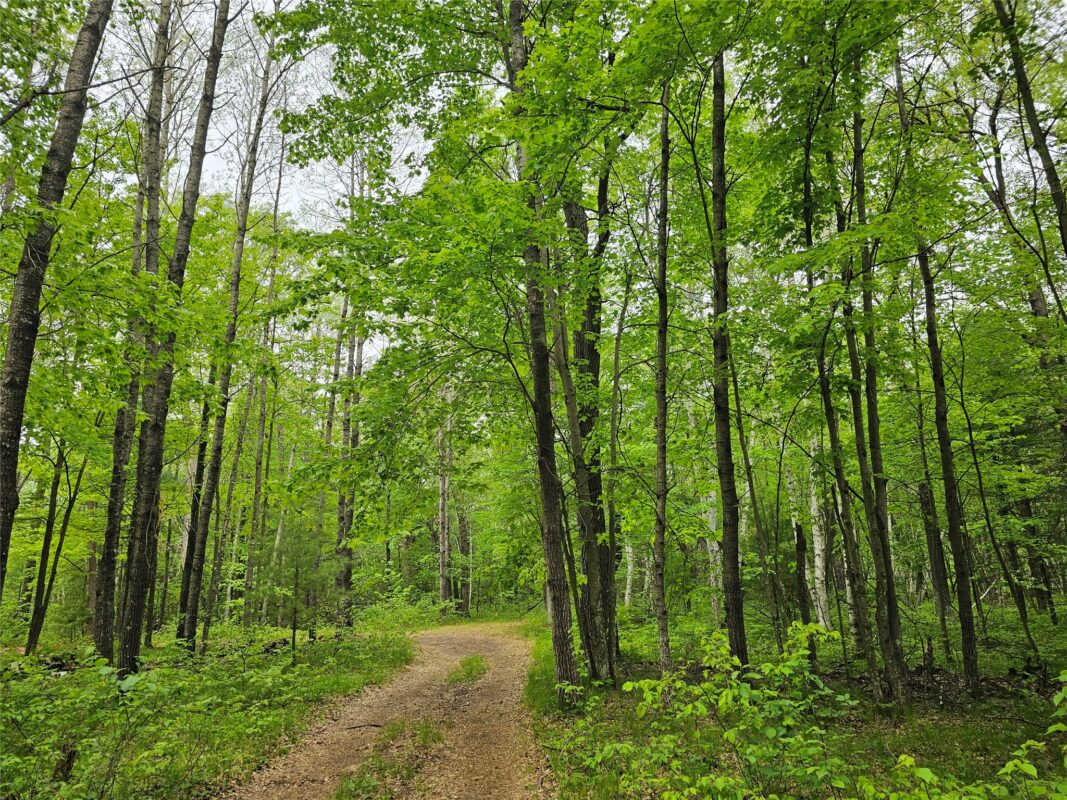 25227 Kruger Road, Webster WI 54893 - Land house for sale - MLS #1601553 - image5
