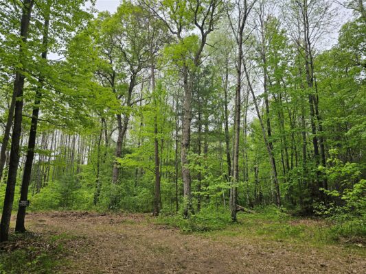 25227 Kruger Road Webster WI 54893