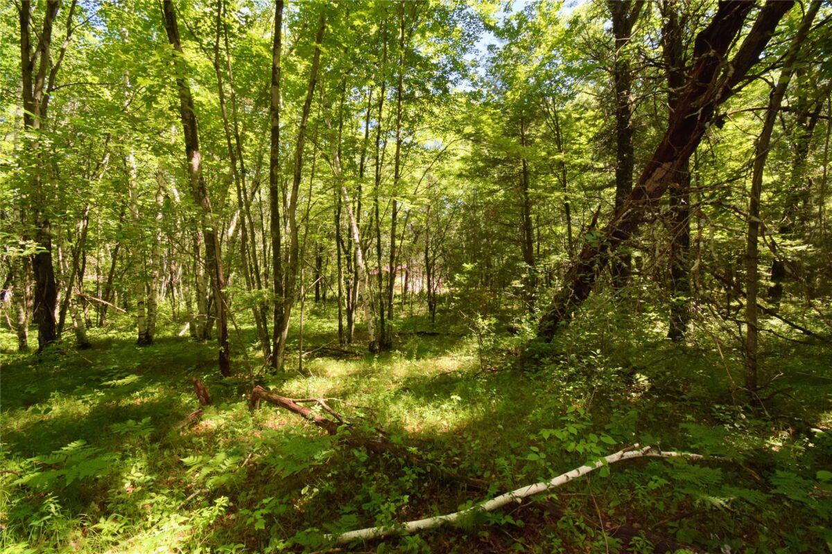 25227 Kruger Road, Webster WI 54893 - Land house for sale - MLS #1601553 - image9