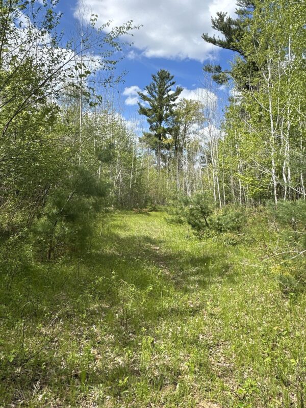 25275 Bruss Road, Webster WI 54893 - Land house for sale - MLS #1602158 - image11