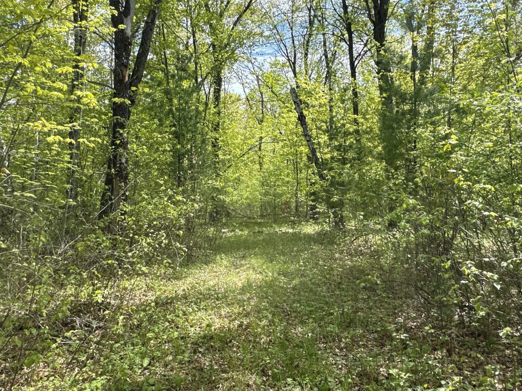 25275 Bruss Road, Webster WI 54893 - Land house for sale - MLS #1602158 - image13