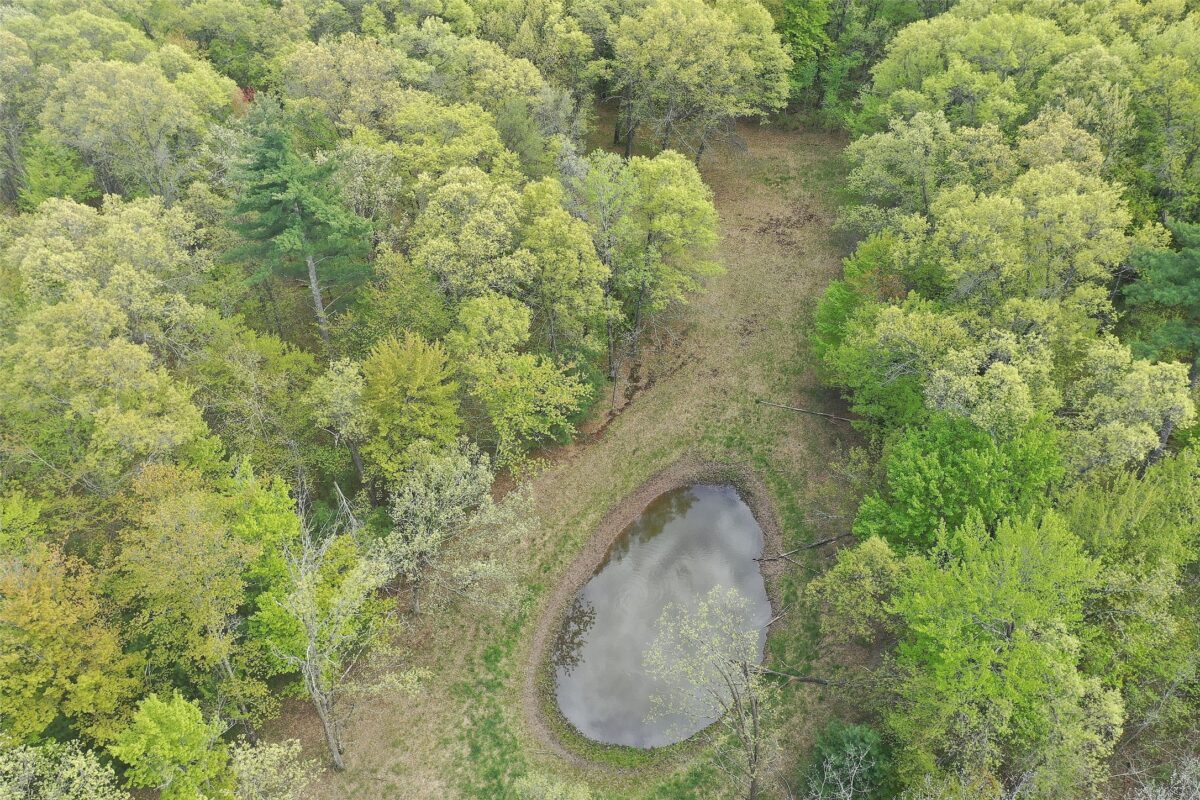 25275 Bruss Road, Webster WI 54893 - Land house for sale - MLS #1602158 - image3