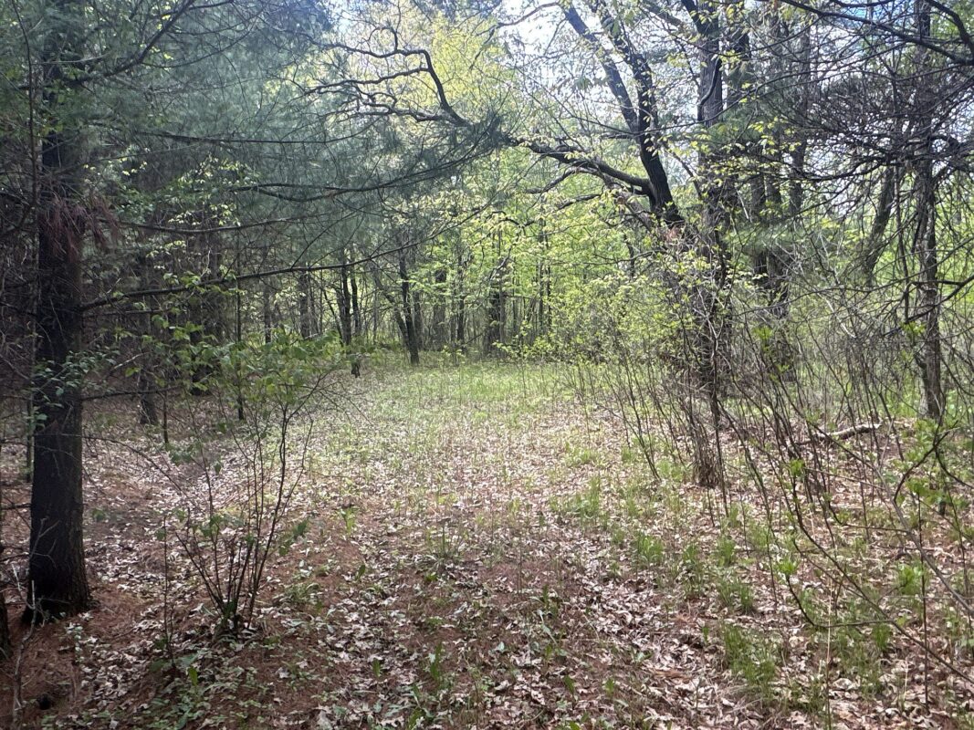 25275 Bruss Road, Webster WI 54893 - Land house for sale - MLS #1602158 - image21