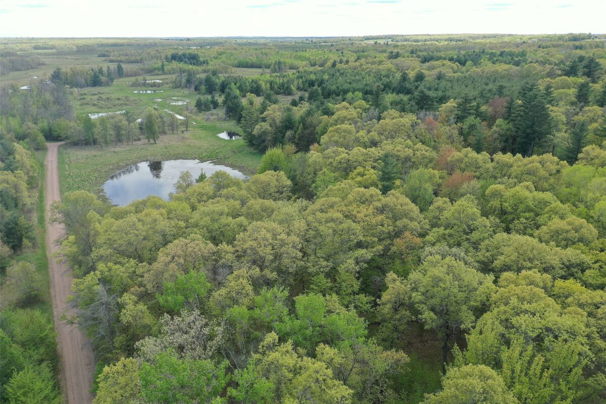 25275 Bruss Road, Webster WI 54893 - Land house for sale - MLS #1602158 - image29