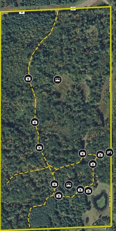 25275 Bruss Road, Webster WI 54893 - Land house for sale - MLS #1602158 - image32