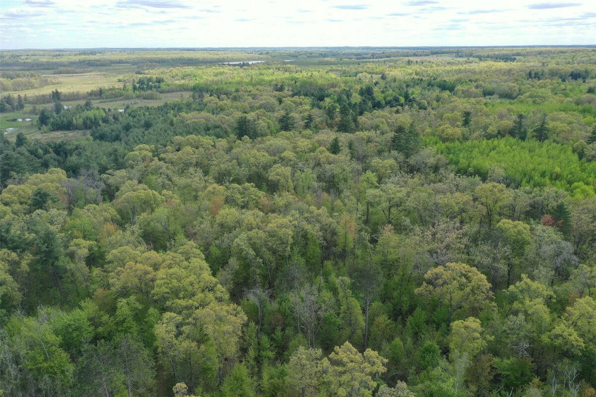 25275 Bruss Road, Webster WI 54893 - Land house for sale - MLS #1602158 - image33