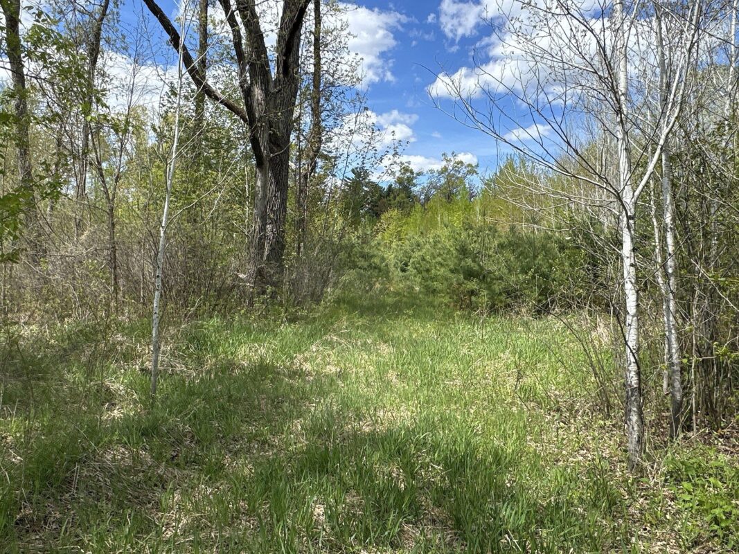 25275 Bruss Road, Webster WI 54893 - Land house for sale - MLS #1602158 - image8