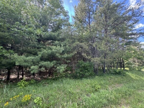25385 Spaulding Road, Grantsburg WI 54840 - Land house for sale - MLS #1602394 - image1