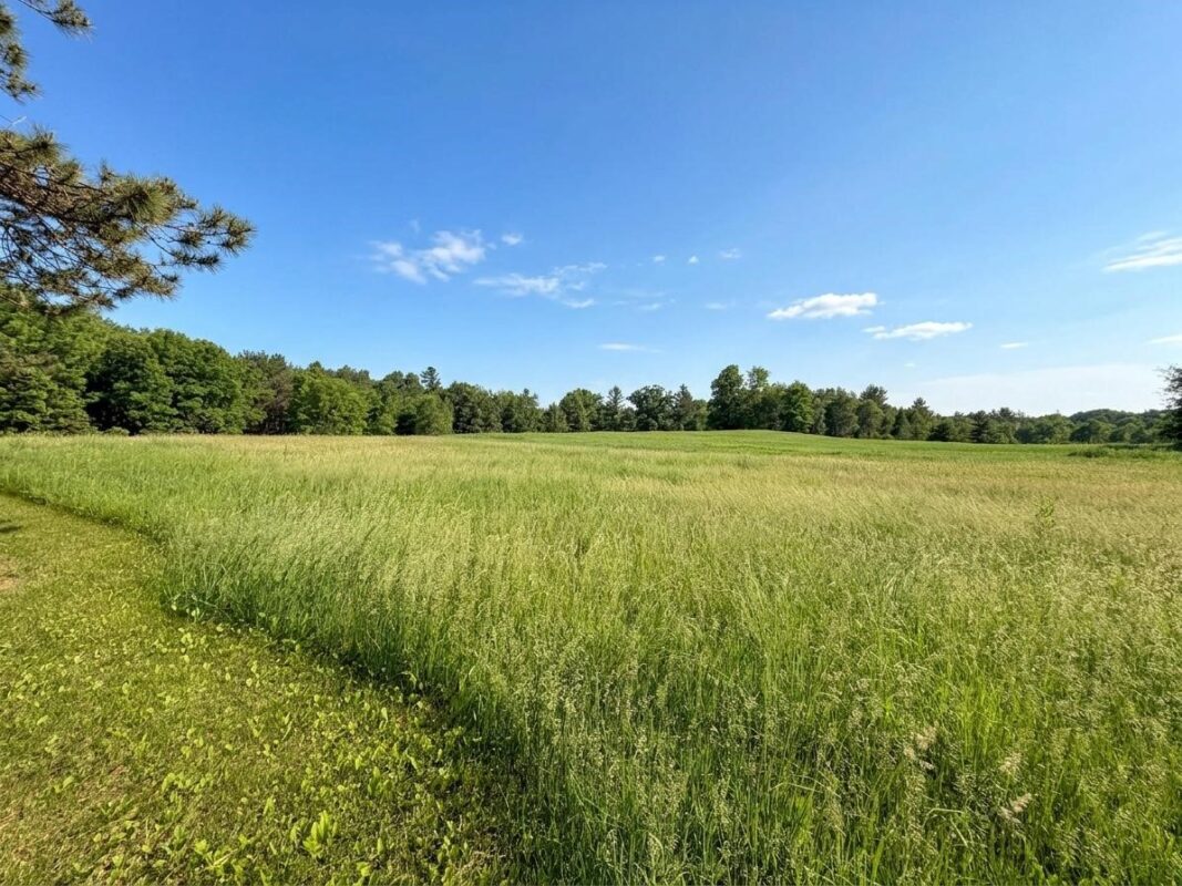 2658 14th Street, Rice Lake WI 54868 - Residential house for sale - MLS #1601941 - image33