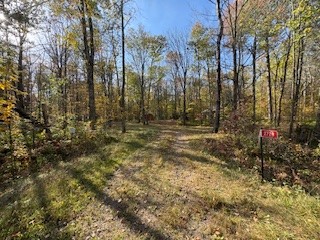 2728 28 3/8 Street Birchwood WI 54817