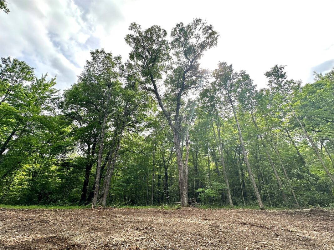 27735 295th Avenue, Holcombe WI 54745 - Land house for sale - MLS #1597799 - image12