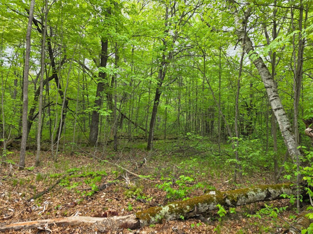 27735 295th Avenue, Holcombe WI 54745 - Land house for sale - MLS #1597799 - image15