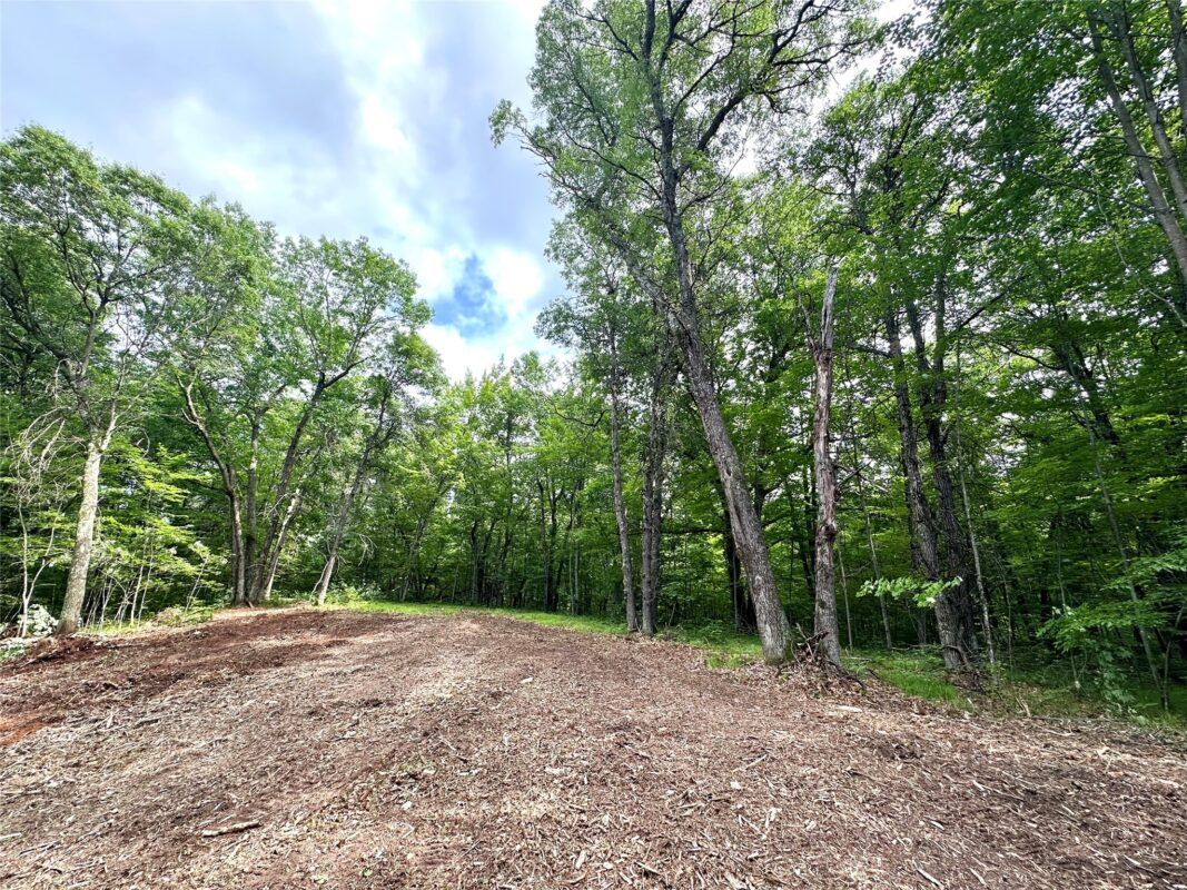 27735 295th Avenue, Holcombe WI 54745 - Land house for sale - MLS #1597799 - image3