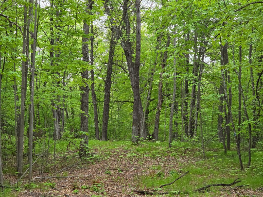 27735 295th Avenue, Holcombe WI 54745 - Land house for sale - MLS #1597799 - image22