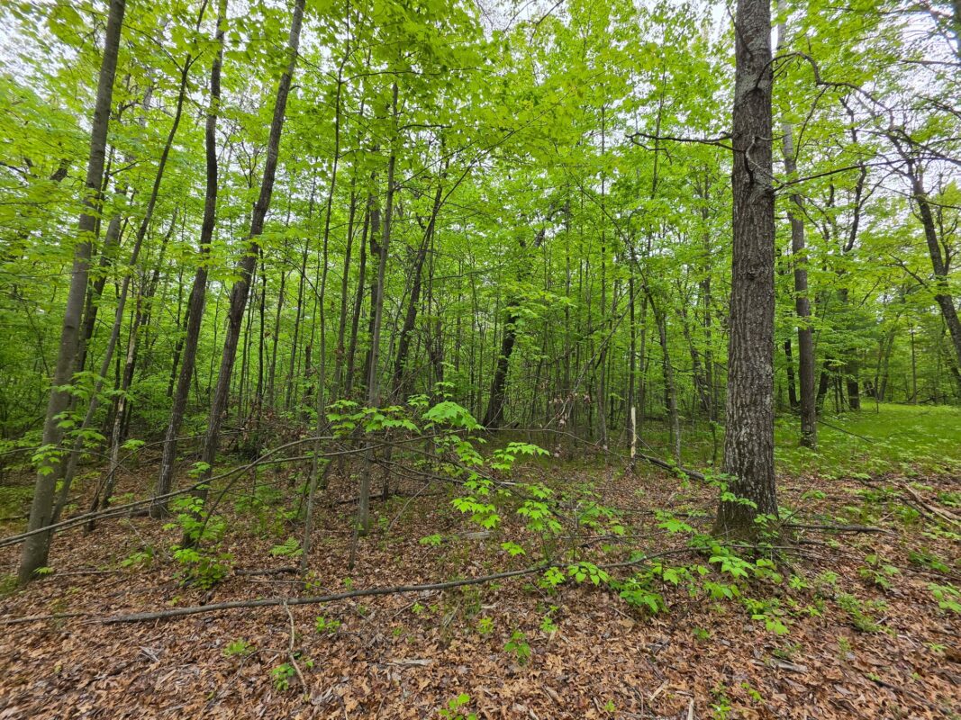 27735 295th Avenue, Holcombe WI 54745 - Land house for sale - MLS #1597799 - image28