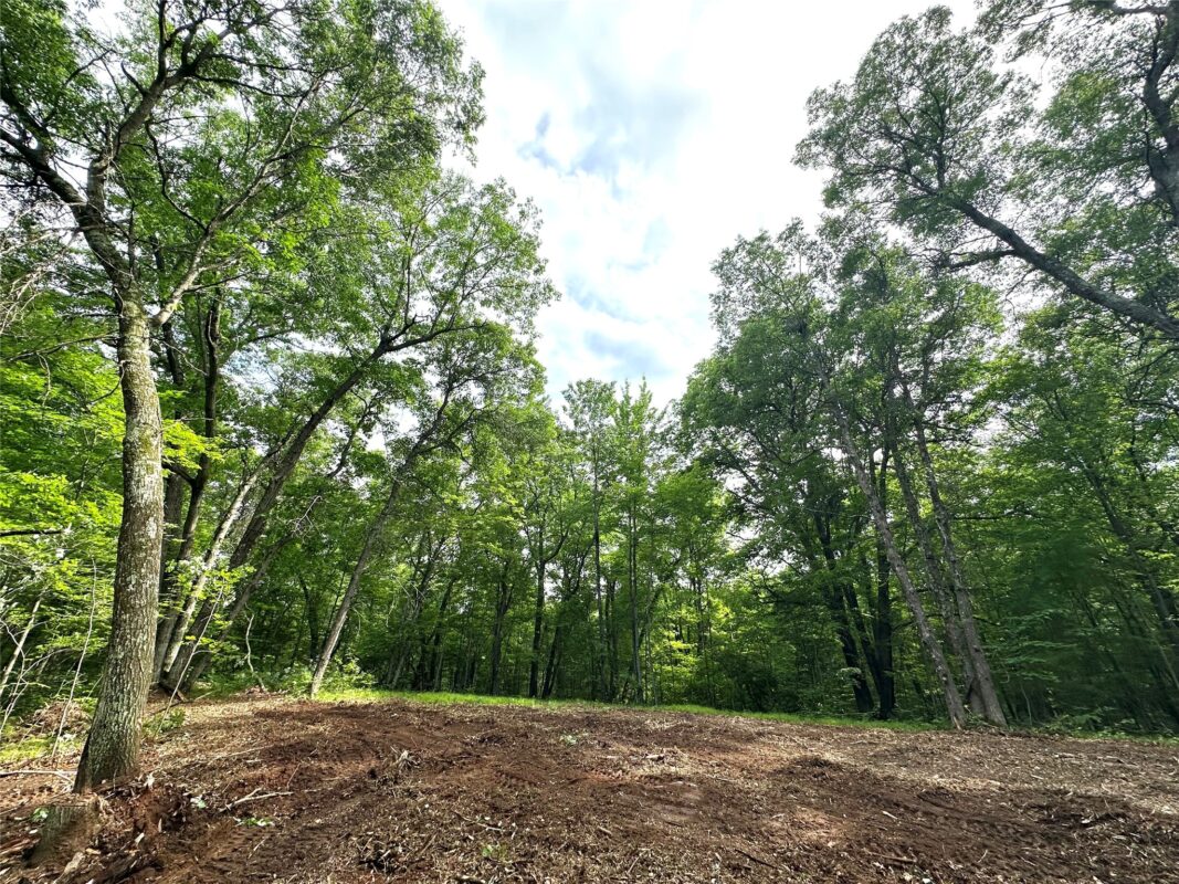 27735 295th Avenue, Holcombe WI 54745 - Land house for sale - MLS #1597799 - image4