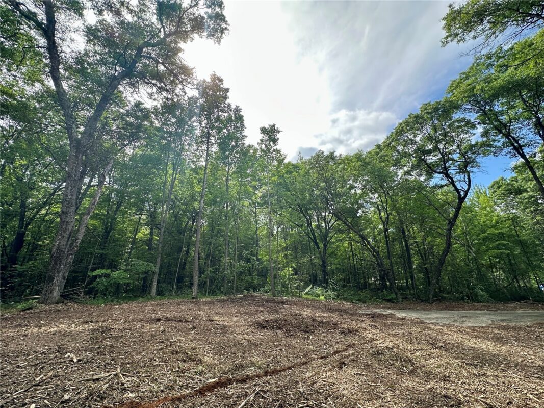 27735 295th Avenue, Holcombe WI 54745 - Land house for sale - MLS #1597799 - image6