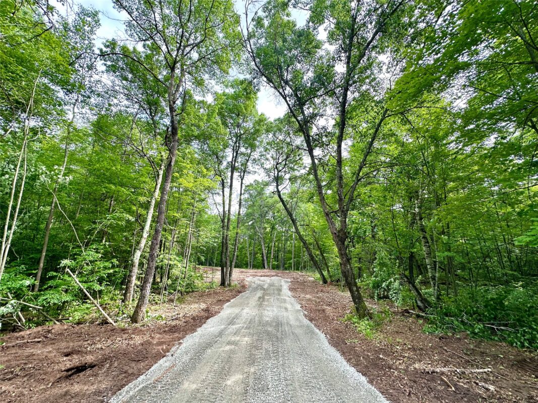 27735 295th Avenue, Holcombe WI 54745 - Land house for sale - MLS #1597799 - image9