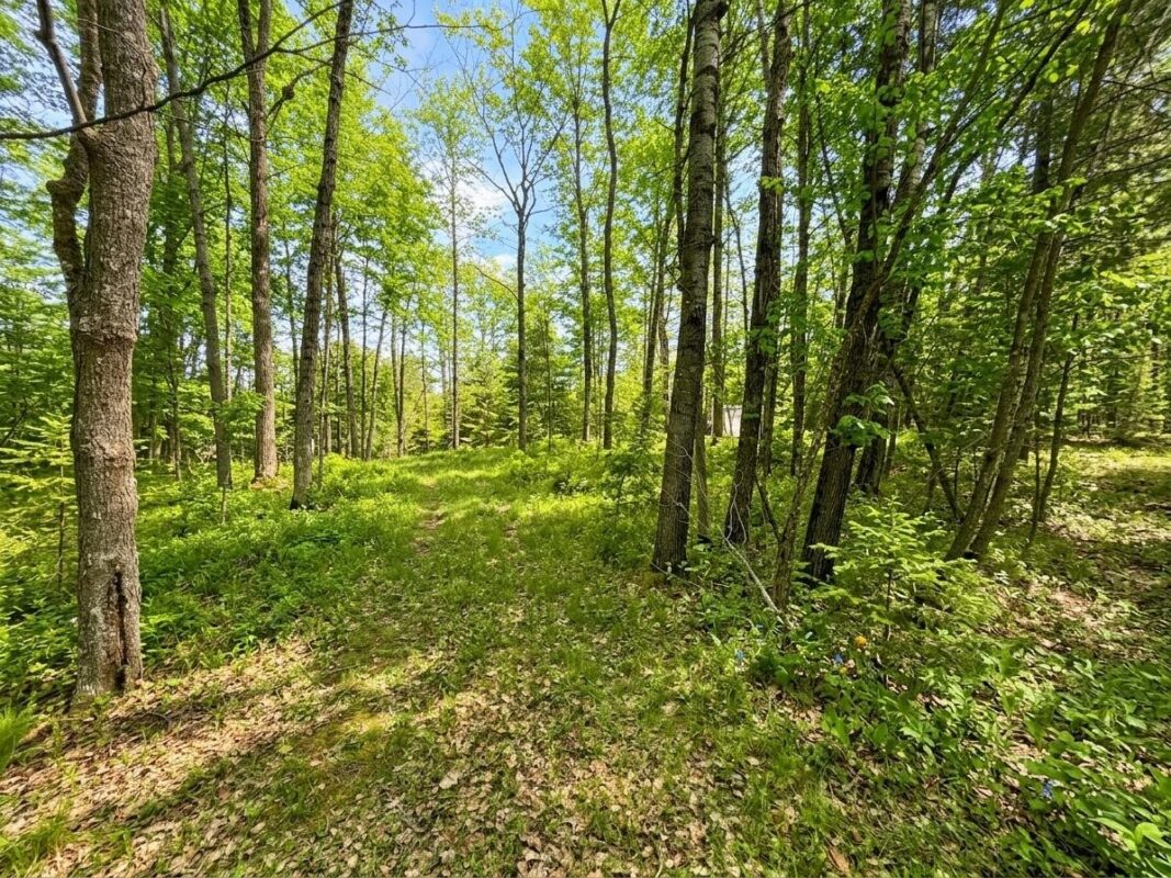 2861 29 7/16 Avenue, Birchwood WI 54817 - Land house for sale - MLS #1599164 - image2