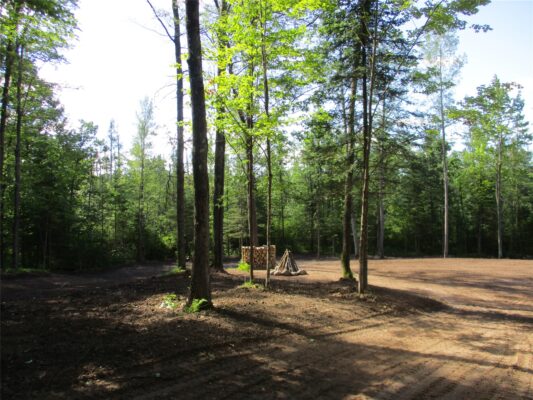 2863 INDEPENDENCE WAY /29 9/16 Avenue Birchwood WI 54817