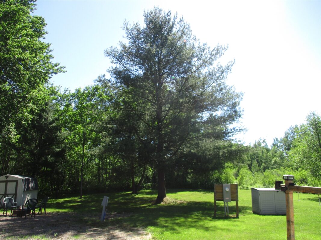 2884 29 7/8 Avenue, Birchwood WI 54817 - Land house for sale - MLS #1602244 - image2