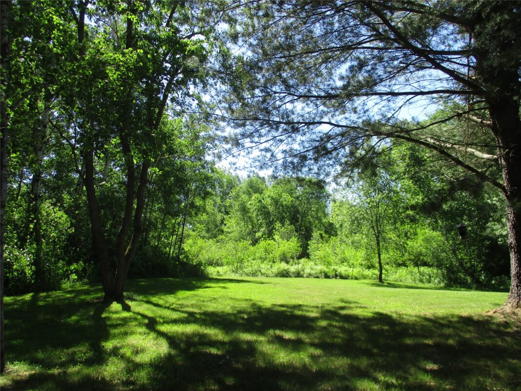 2884 29 7/8 Avenue, Birchwood WI 54817 - Land house for sale - MLS #1602244 - image34
