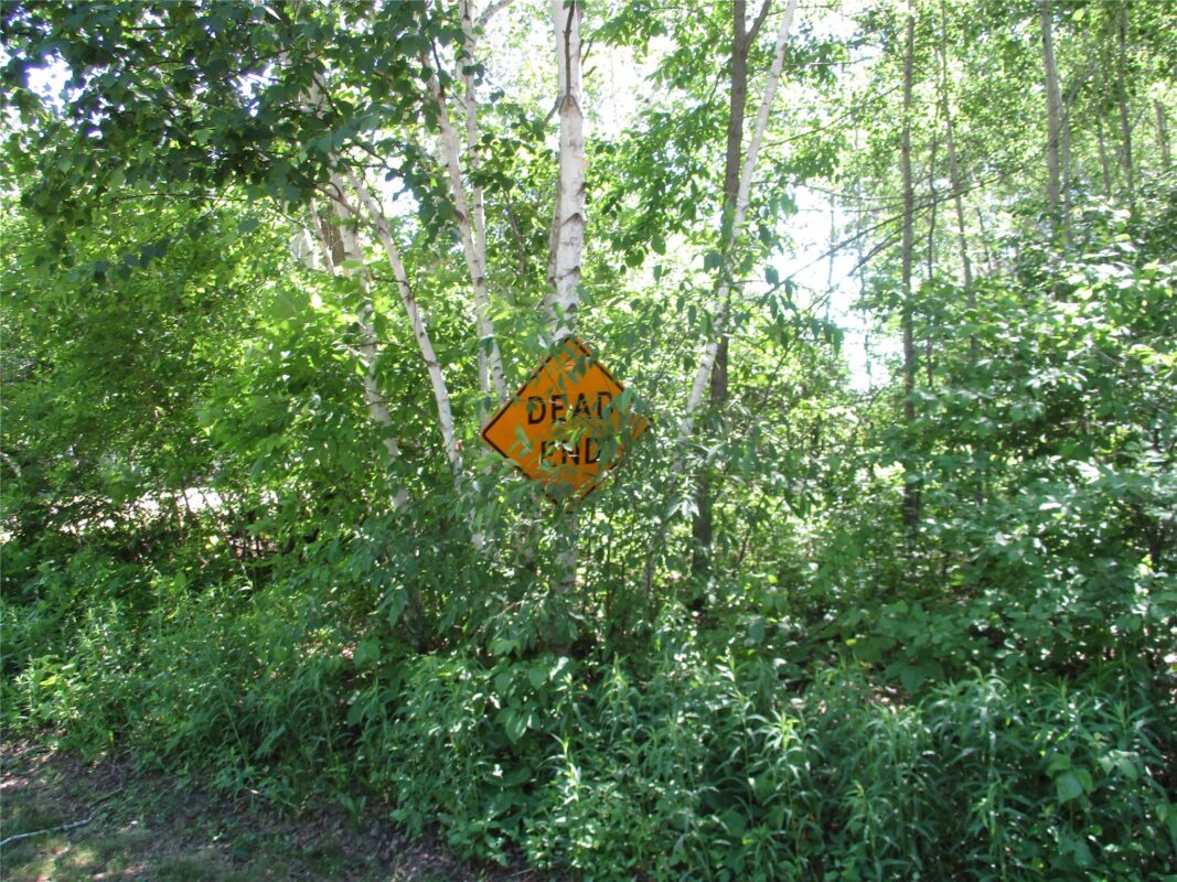 2884 29 7/8 Avenue, Birchwood WI 54817 - Land house for sale - MLS #1602244 - image36