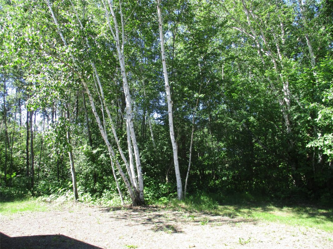 2884 29 7/8 Avenue, Birchwood WI 54817 - Land house for sale - MLS #1602244 - image10