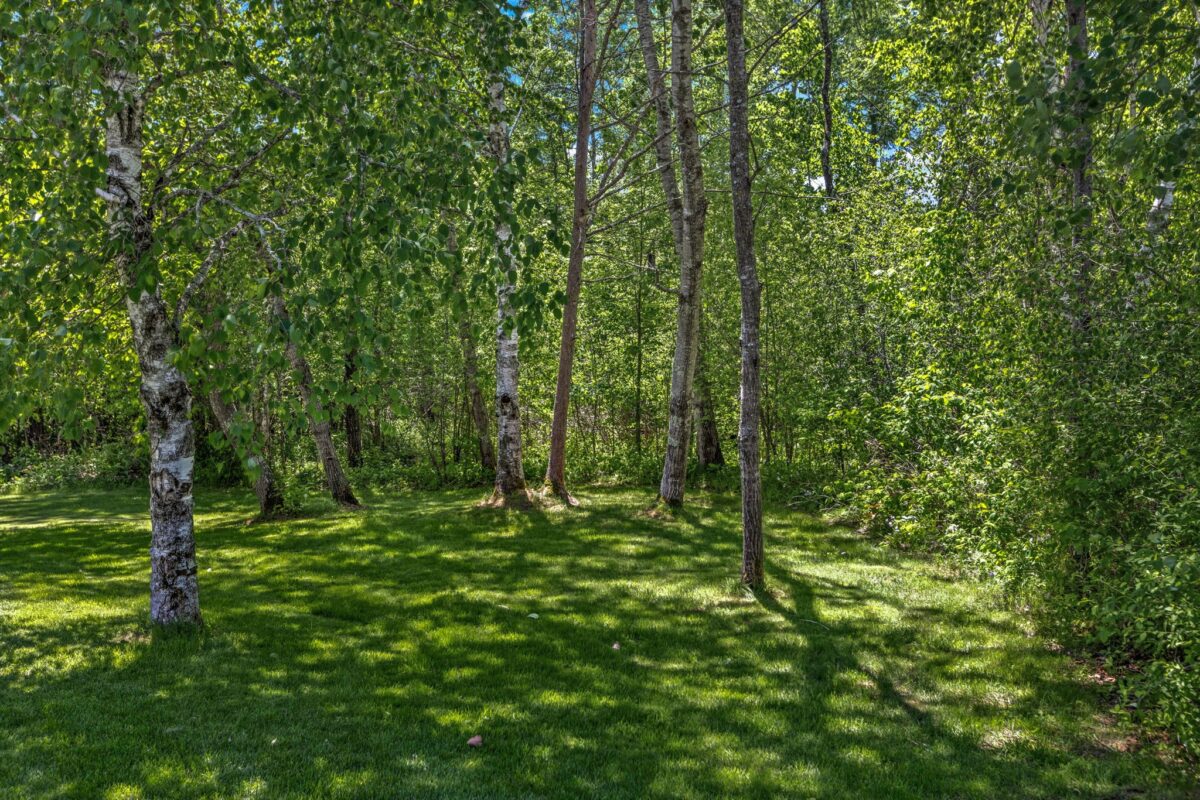 2890 29 9/16 Avenue, Birchwood WI 54817 - Residential house for sale - MLS #1602069 - image51