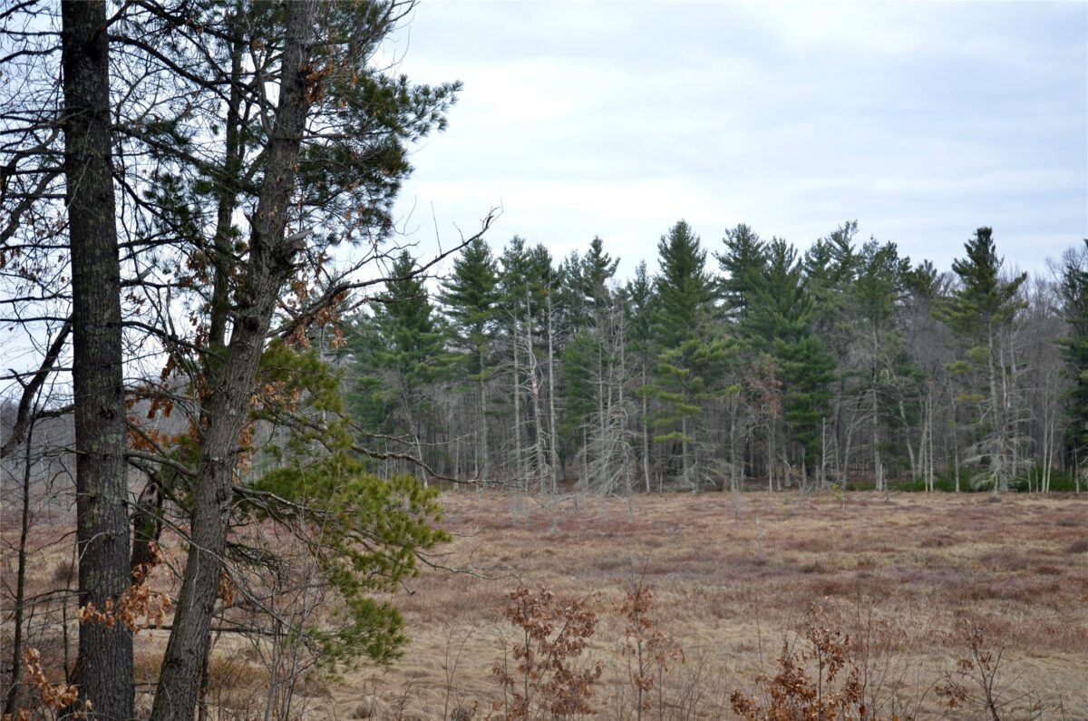 29072 County Rd H, Danbury WI 54830 - Residential house for sale - MLS #1599814 - image25