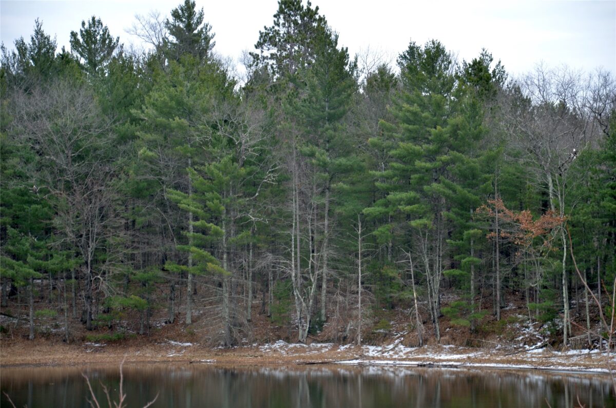 29072 County Rd H, Danbury WI 54830 - Residential house for sale - MLS #1599814 - image27