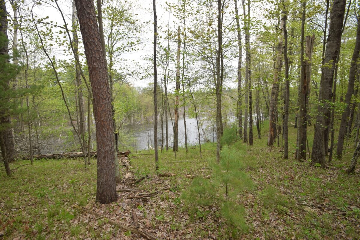 30349 Johnson Creek Trail, Danbury WI 54830 - Land house for sale - MLS #1602102 - image44