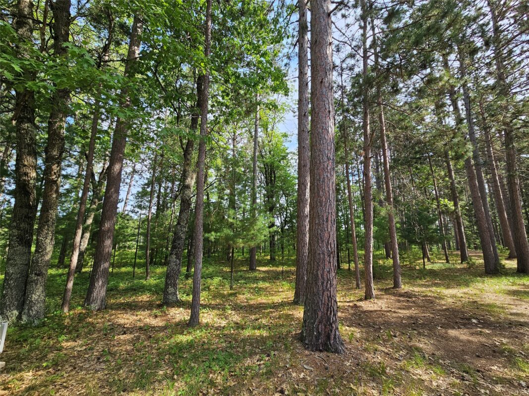 3307 State Road 77, Danbury WI 54830 - Residential house for sale - MLS #1602613 - image45