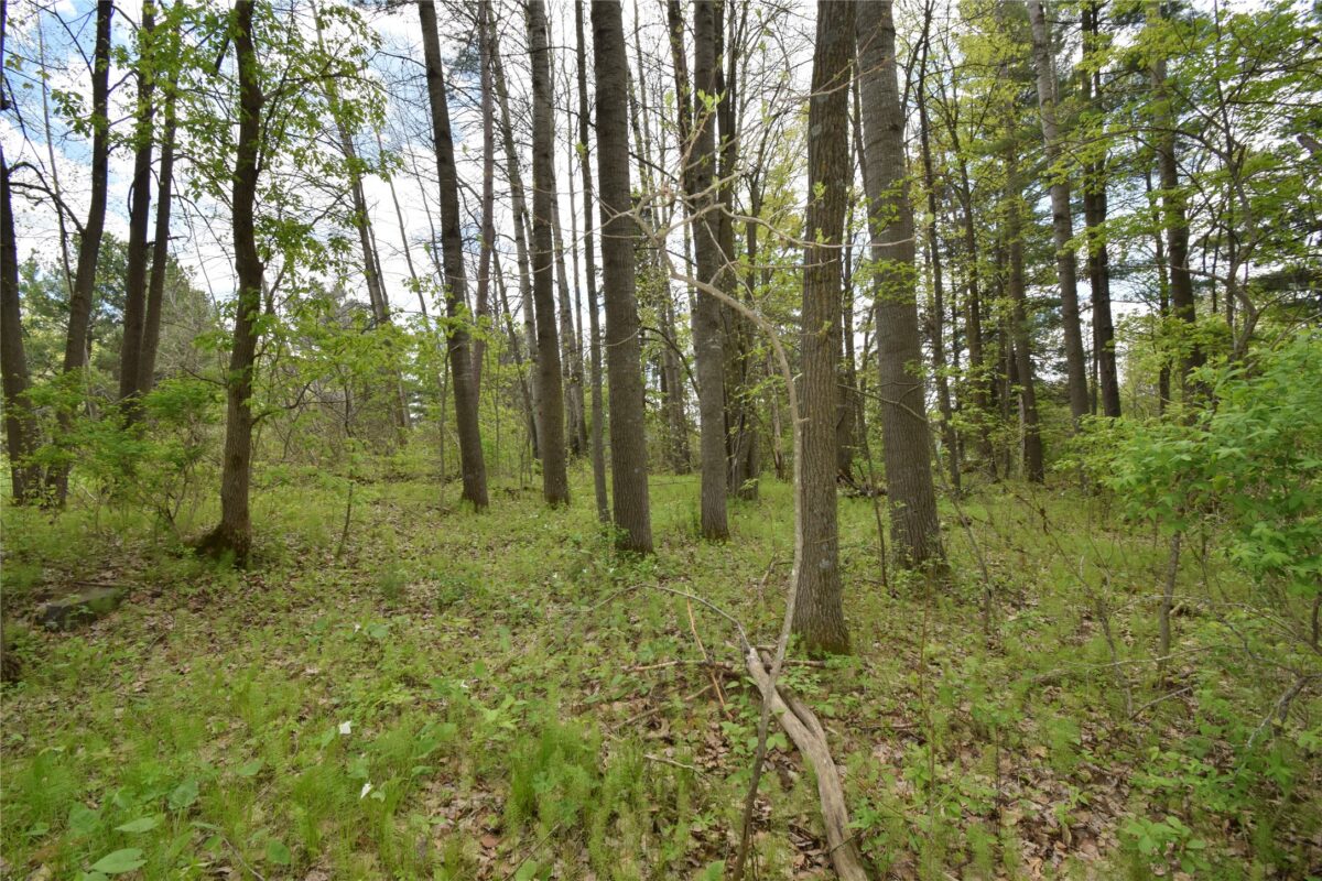 3346 65th Street, Frederic WI 54837 - Residential house for sale - MLS #1601472 - image47