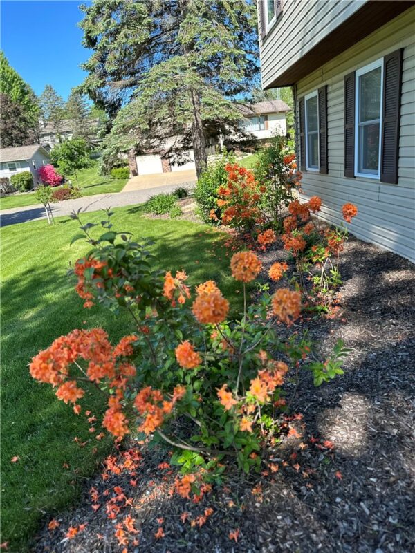 360 12th Street, Black River Falls WI 54615 - Residential house for sale - MLS #1596481 - image17