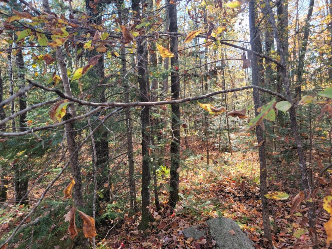 3789W Indian Way, Winter WI 54896 - Land house for sale - MLS #1602174 - image19