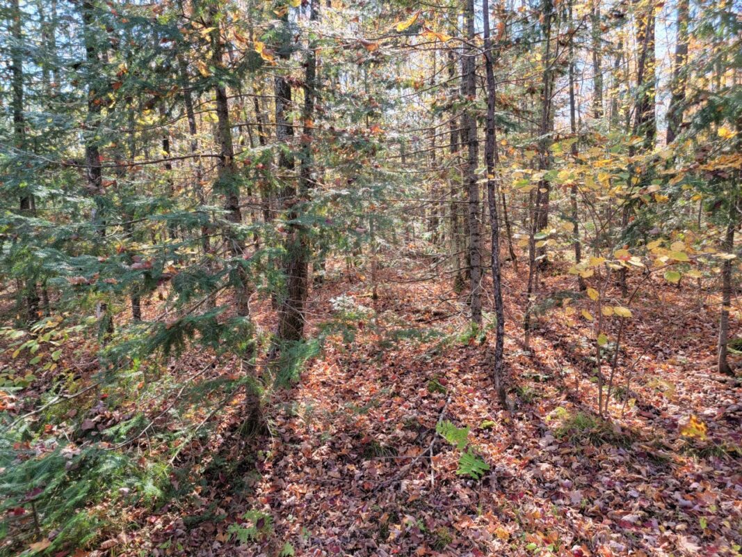 3789W Indian Way, Winter WI 54896 - Land house for sale - MLS #1602174 - image20