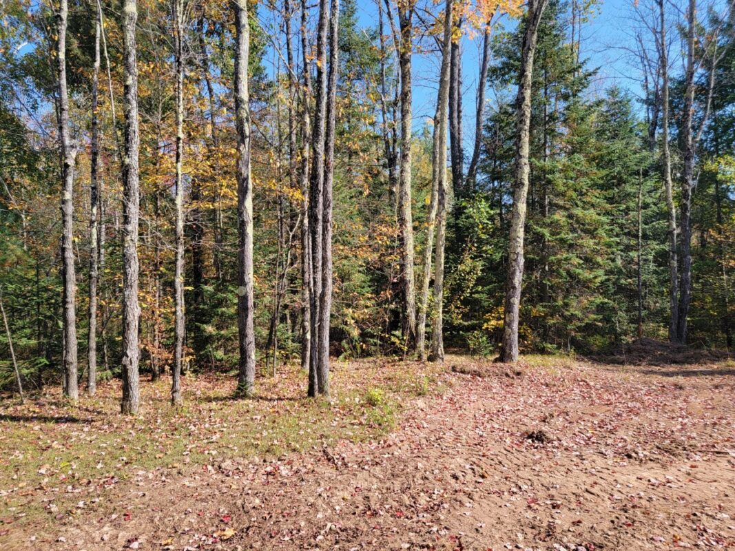 3789W Indian Way, Winter WI 54896 - Land house for sale - MLS #1602174 - image3