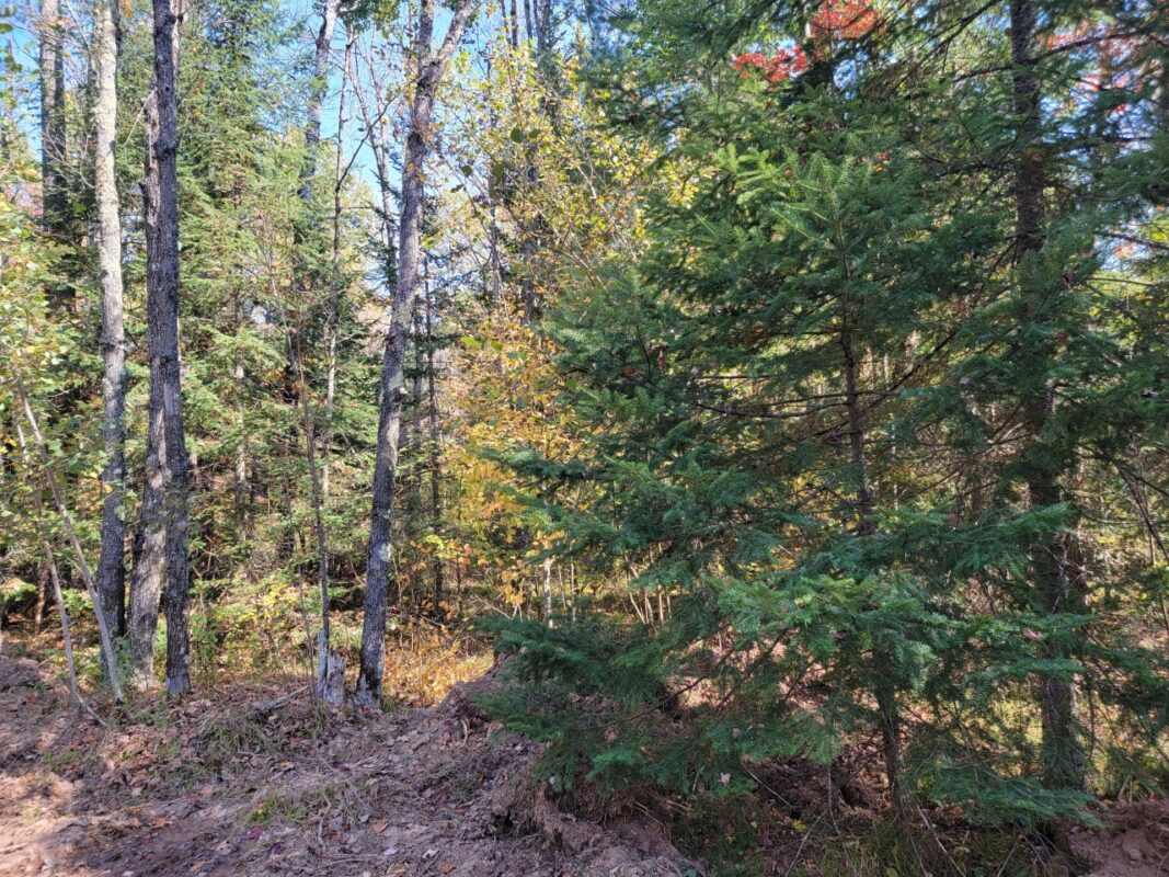 3789W Indian Way, Winter WI 54896 - Land house for sale - MLS #1602174 - image21