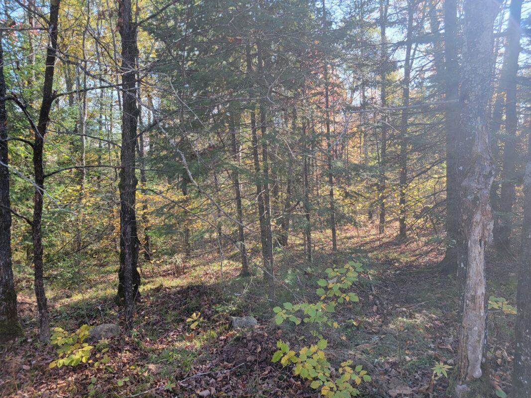 3789W Indian Way, Winter WI 54896 - Land house for sale - MLS #1602174 - image23