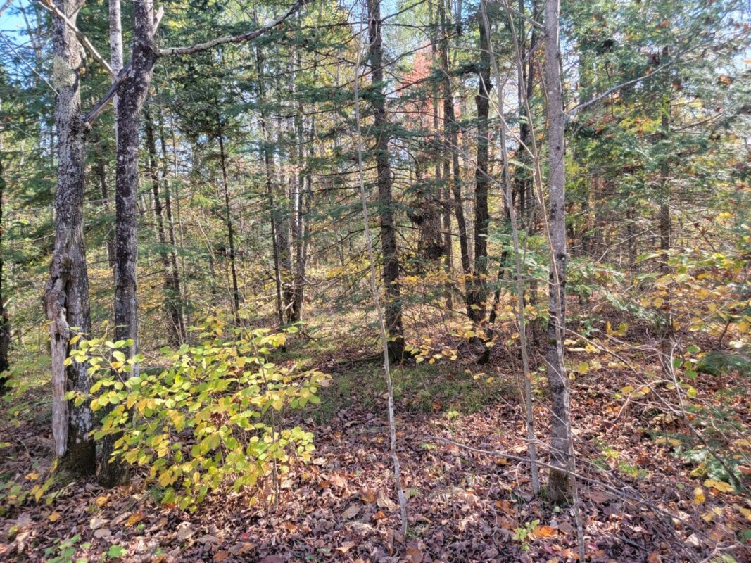3789W Indian Way, Winter WI 54896 - Land house for sale - MLS #1602174 - image4